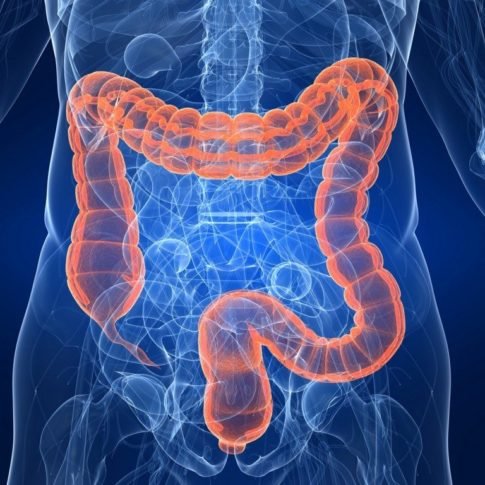 colon irritabile e trattamenti nutrizionali